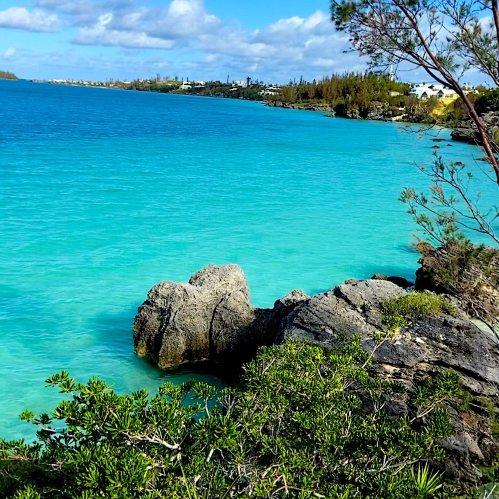 Meet your Posher, Sandra